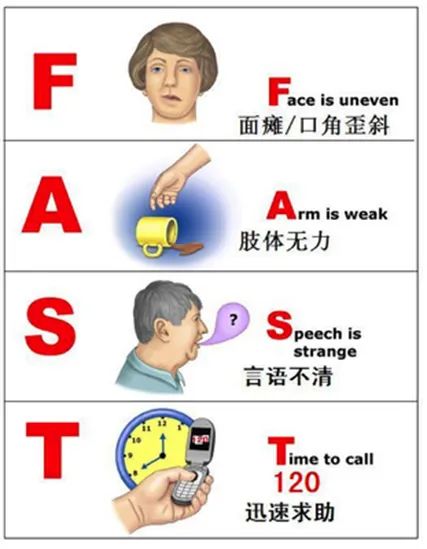 世界卒中日丨我们该如何识别、急救和预防？